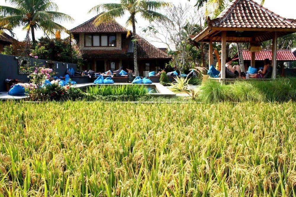 In Da * Ubud (Bali)